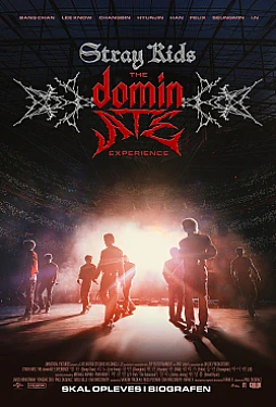 Stray Kids: The dominATE Experience poster